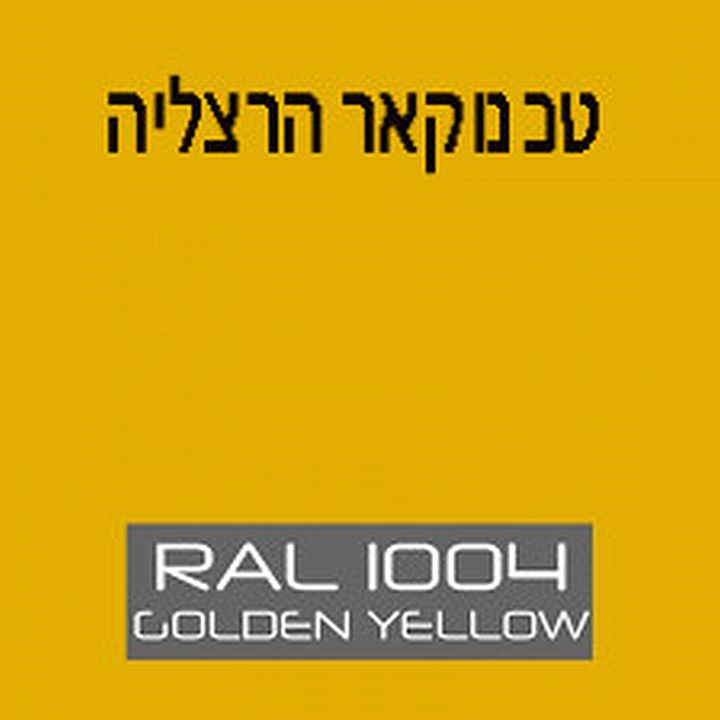 ראל 1004