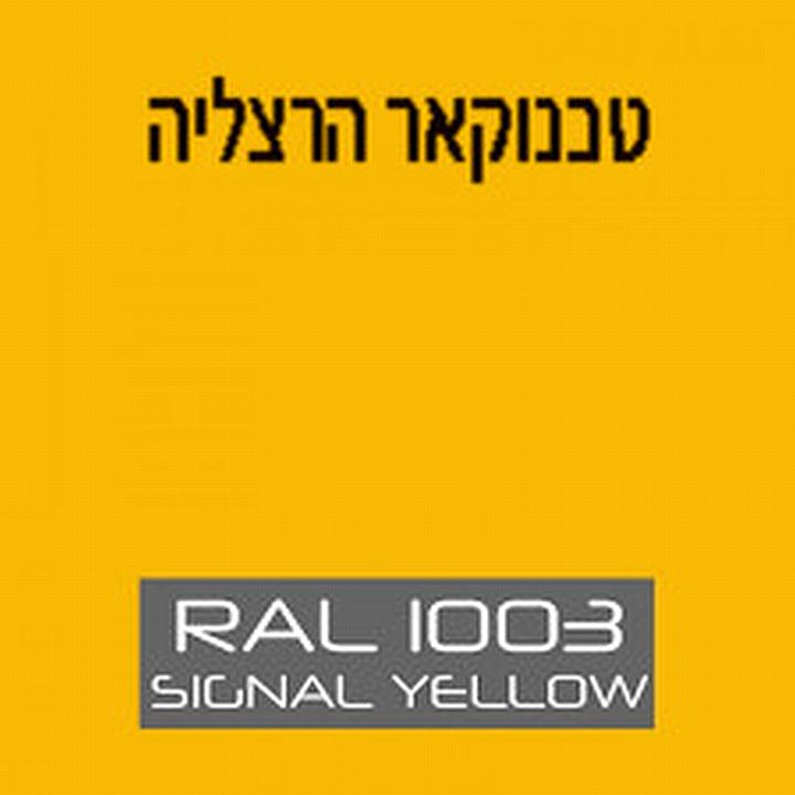 ספרי צבע לפי גוון ראל 1003