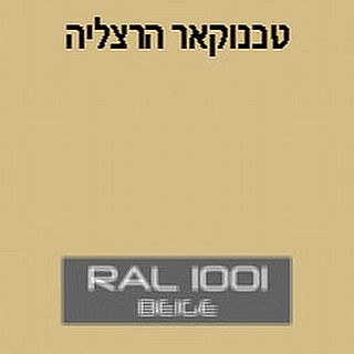 ספרי צבע לפי גוון ראל 1001