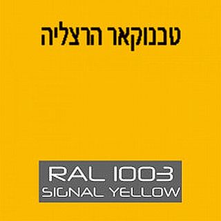 ספרי צבע לפי גוון ראל 1003