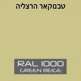 ספרי צבע לפי גוון ראל 1000